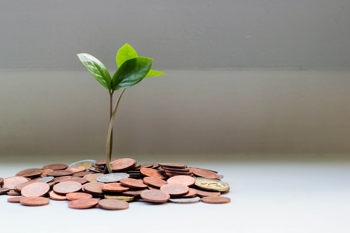 Savings Banner